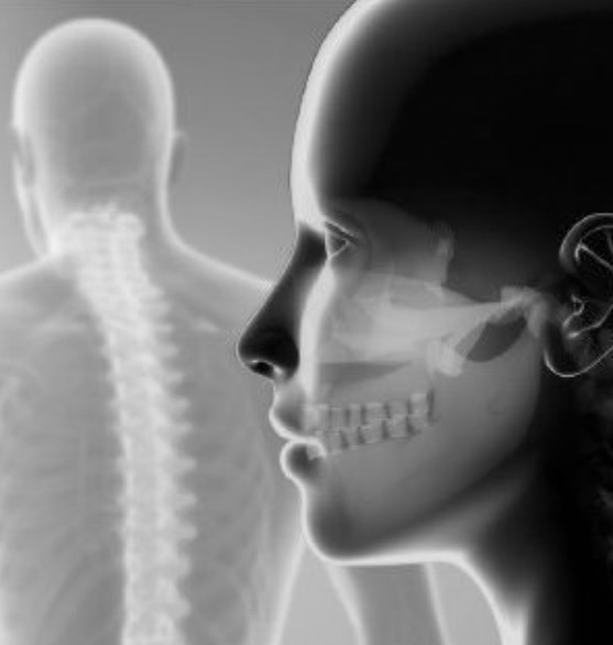Gnatologia e Posturologia
